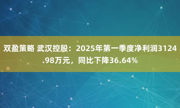 双盈策略 武汉控股：2025年第一季度净利润3124.98万元，同比下降36.64%
