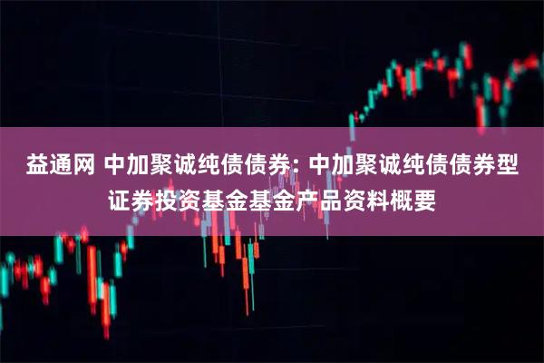 益通网 中加聚诚纯债债券: 中加聚诚纯债债券型证券投资基金基金产品资料概要