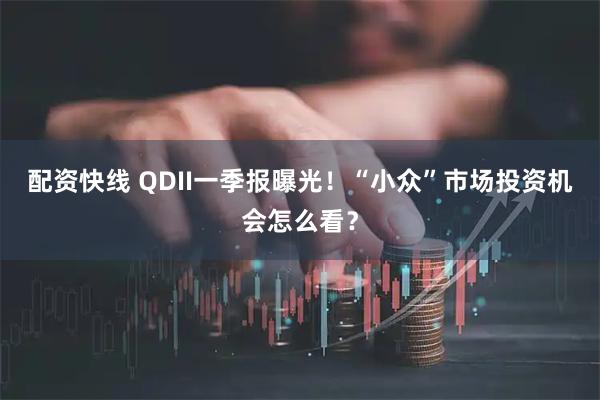 配资快线 QDII一季报曝光！“小众”市场投资机会怎么看？