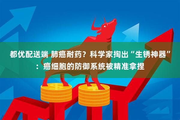 都优配送端 肺癌耐药？科学家掏出“生锈神器”：癌细胞的防御系统被精准拿捏