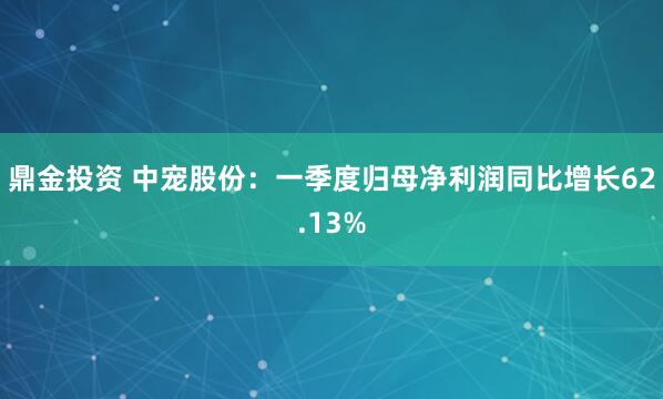 鼎金投资 中宠股份：一季度归母净利润同比增长62.13%