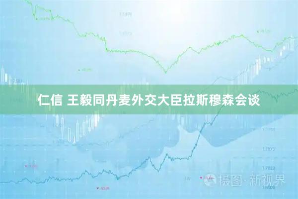 仁信 王毅同丹麦外交大臣拉斯穆森会谈