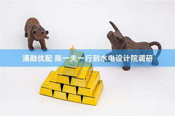 涌融优配 陈一夫一行到水电设计院调研