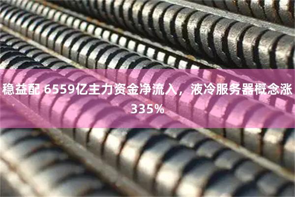 稳益配 6559亿主力资金净流入，液冷服务器概念涨335%
