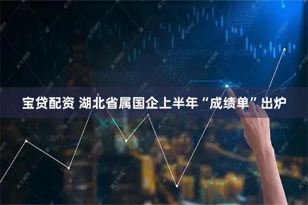 宝贷配资 湖北省属国企上半年“成绩单”出炉